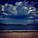 Bujas * Raslina