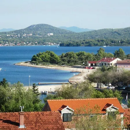 Bujas * Raslina