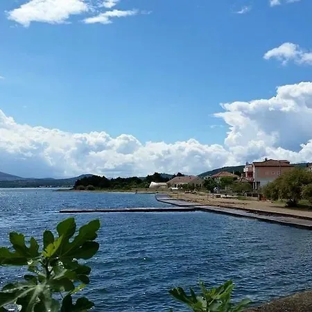 Bujas * Raslina